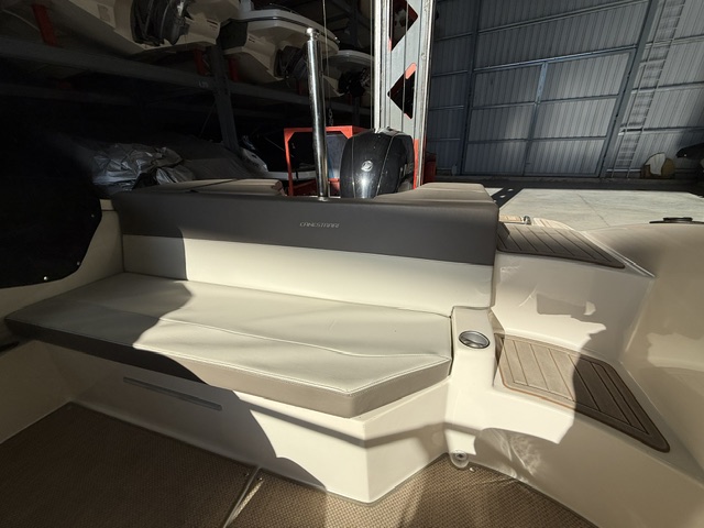 Canestrari 208 open 2019 Mercury 150 hp 